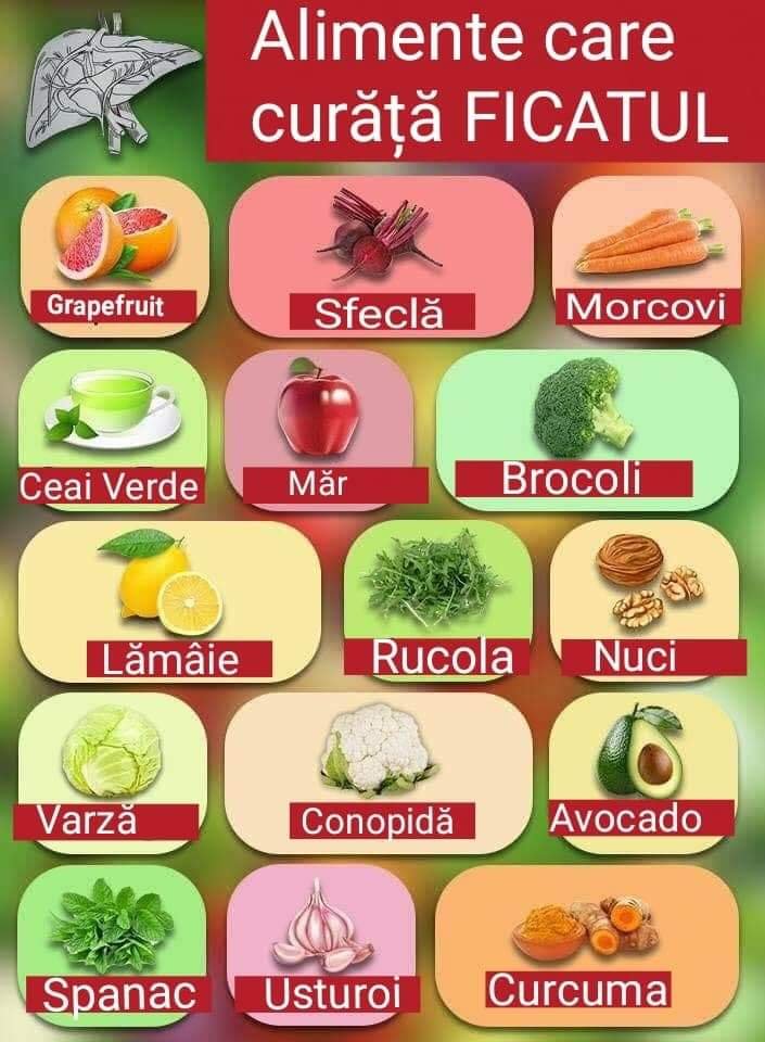 Ficatul – funcție de regenerare&nbsp;proprie