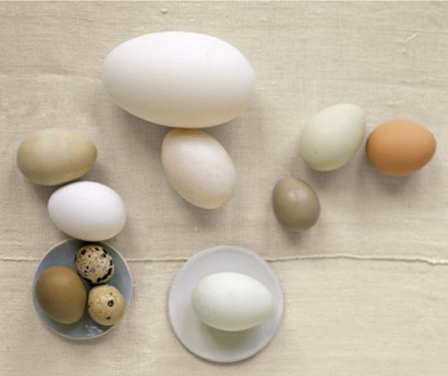 Oul.. Partea a&nbsp;doua