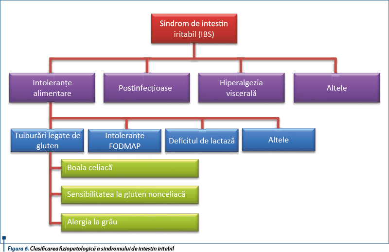 figura_6_clasificarea_fiziopatologica_a_sindromului_de_intestin_iritabil_4483_0_90_bigger.png