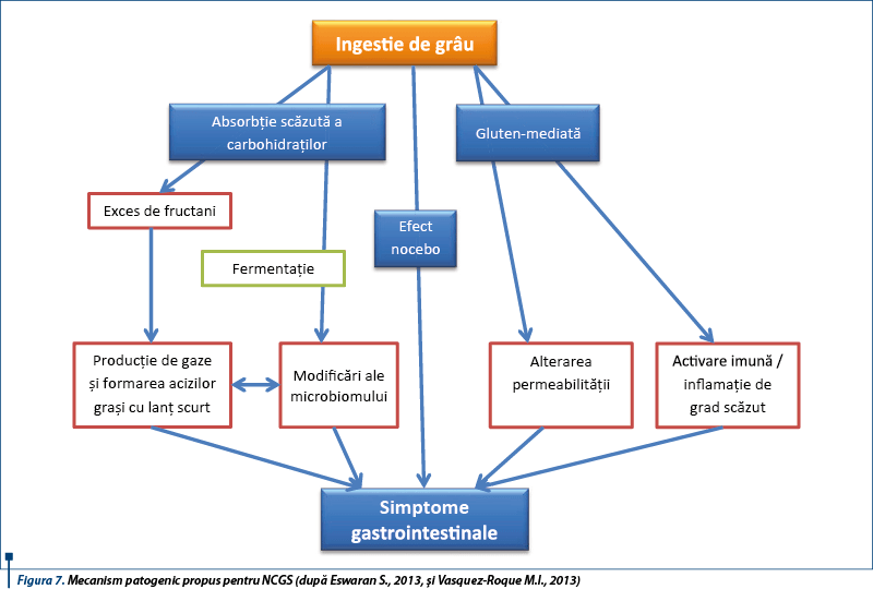 figura_7_mecanism_patogenic_propus_pentru_ncgs_dupa_eswaran_s_2013_si_vasquez_roque_m_i_2013_4482_0_90_bigger.png